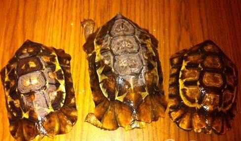 QQ截图20160809174434