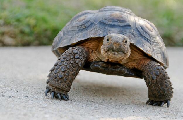 QQ截图20160809165348