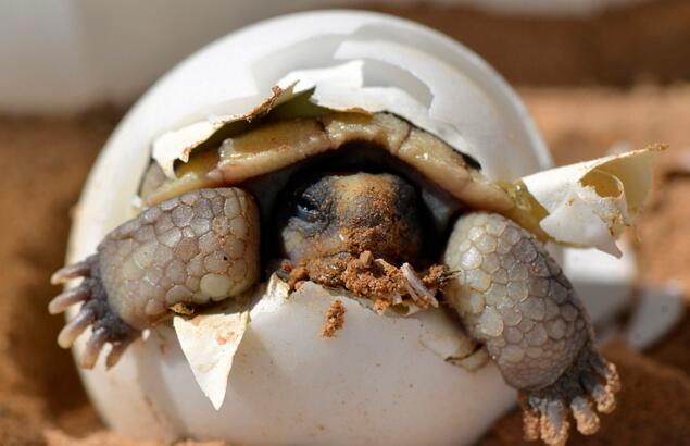 QQ截图20160809165332