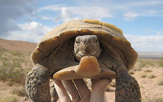 QQ截图20160809165740