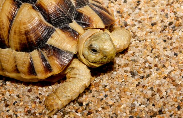 QQ截图20160809173448