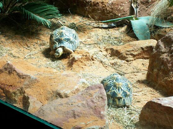 QQ截图20160809172830