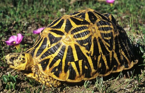 QQ截图20160809172527