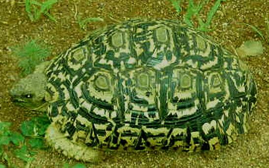 QQ截图20160809172608