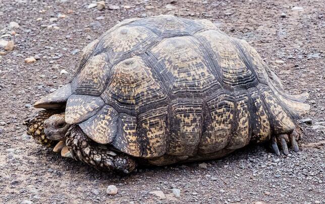 QQ截图20160809164150