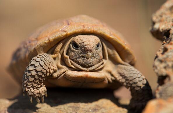 QQ截图20160809164200