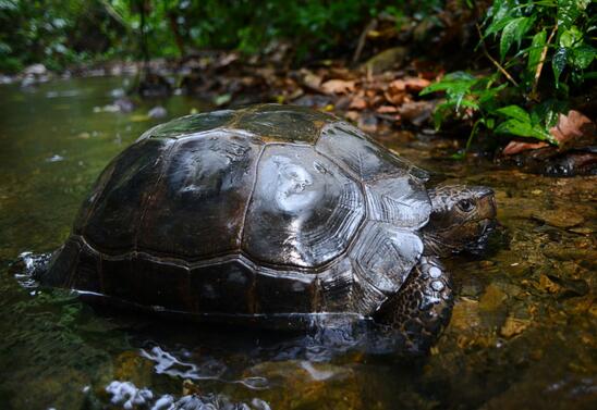 QQ截图20160809170919