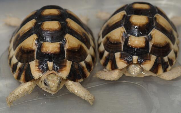 QQ截图20160809173127