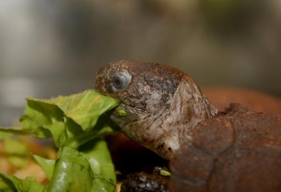 QQ截图20160809170925