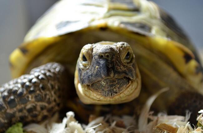 QQ截图20160809163619