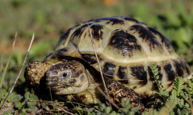 QQ截图20160809163614