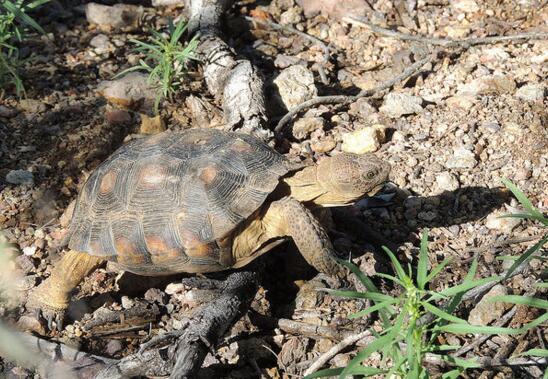 QQ截图20160809165337