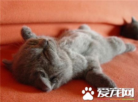 哎呀，好累呀，让我躺一会儿！