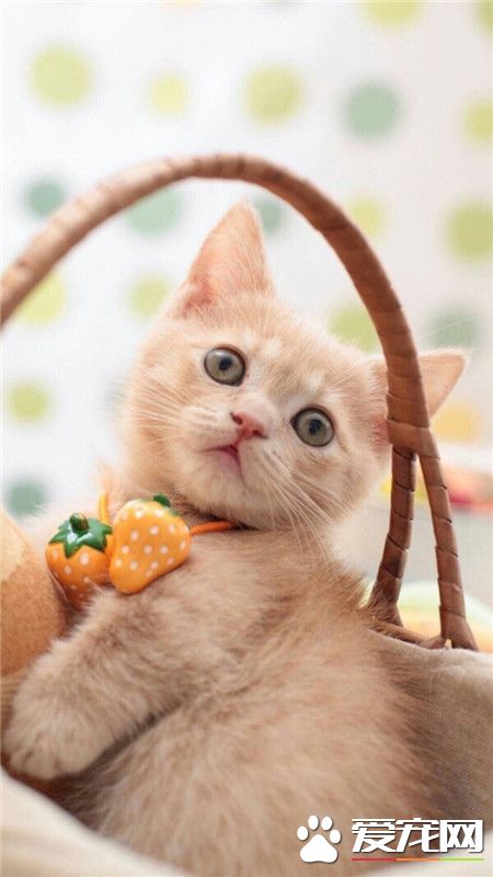 这是……一脸蒙逼，哈哈。