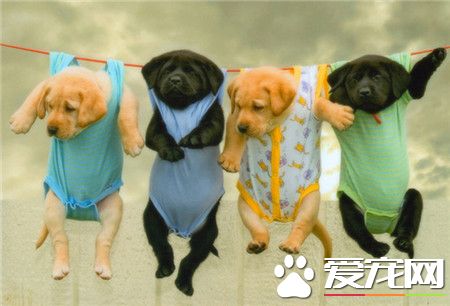 就这样晾干，晒太阳吧。