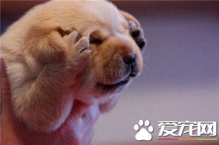 看不见！看不见！就看不见！