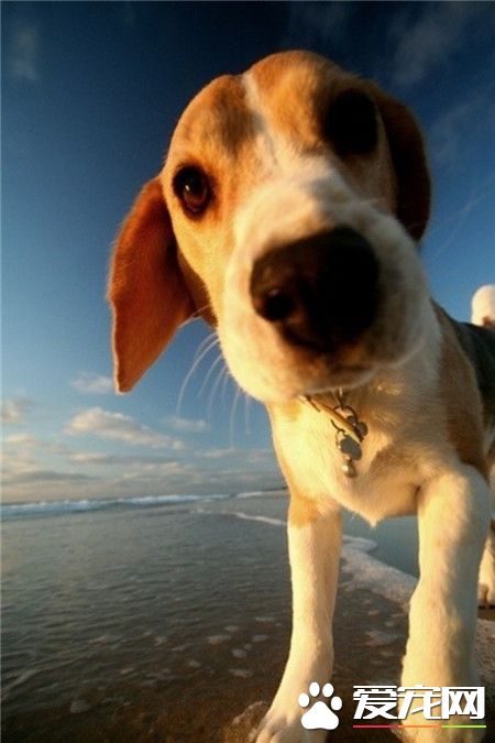 用好奇的眼光看世界！