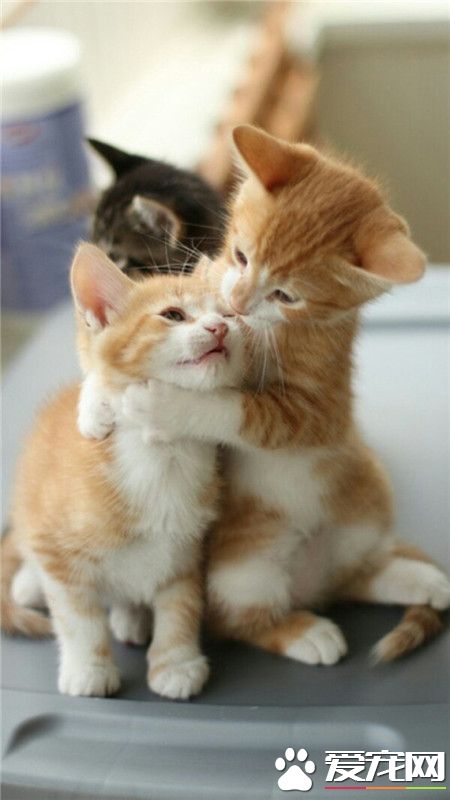 不开心，来抱抱。