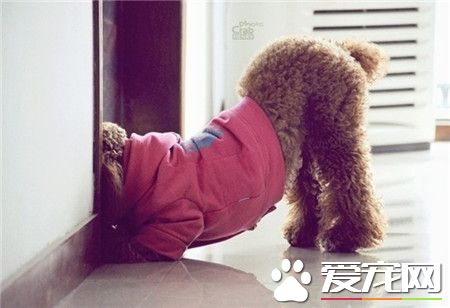 里面有什么秘密呢~ 小翘臀！