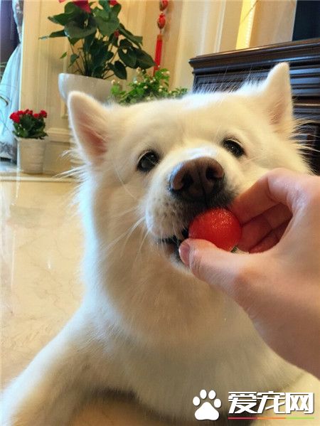 来，吃了这颗神奇小药丸。