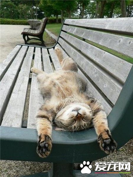 就这么躺着睡着，艾玛，太爽了！！！