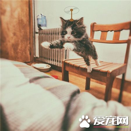 这回你是真的飘了，飞了！