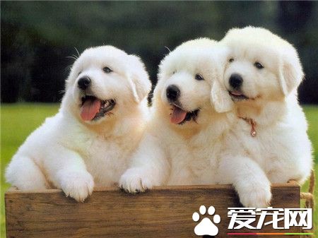 你们在看什么！