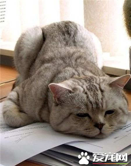 刚开学看书就忍不住想睡觉！