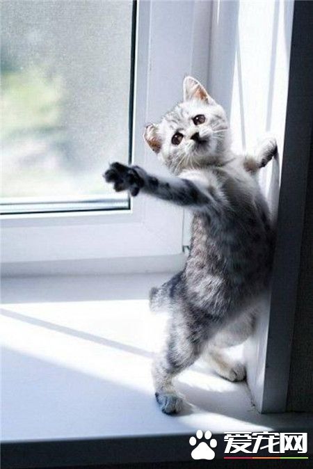 早啊，我先伸个懒腰！