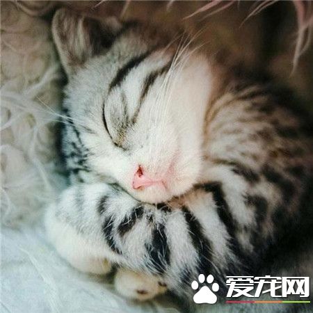 啥都别说了，还是睡觉实在！