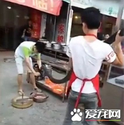 3米眼镜王蛇大街惨被2男断头放血