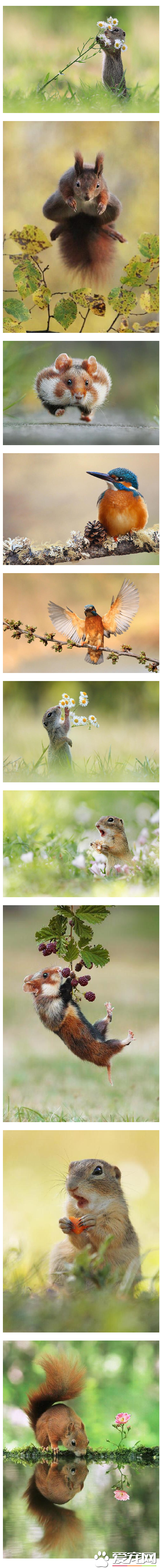 萌货的定格照也是醉了！