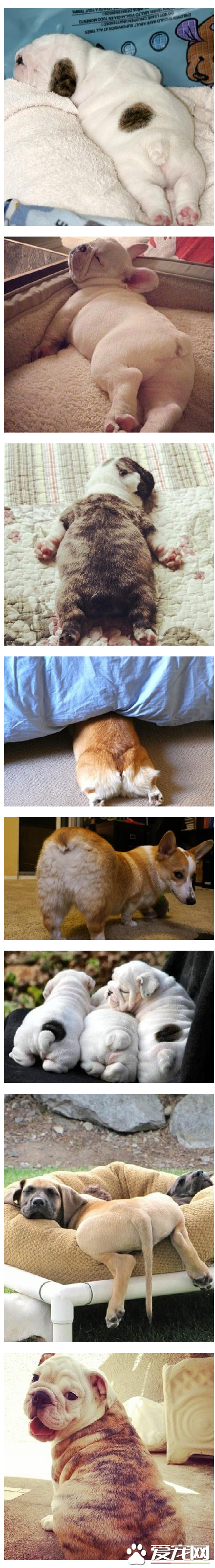 翘屁股、水桶腰~~好想捏下