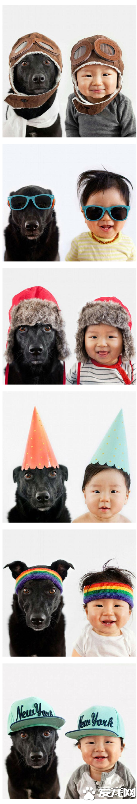 美宠物狗与男童做