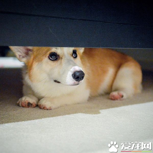 我藏好了，你快来找我啊