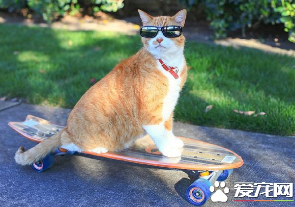 滑板骚年就是这么酷炫