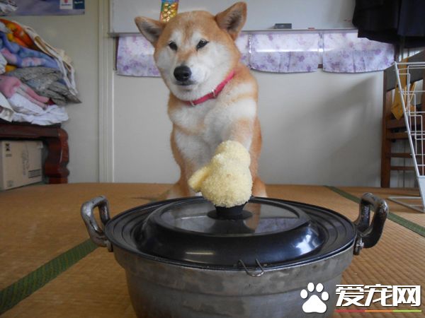 下面就是见证奇迹的时刻