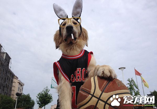 劳资就是球场一霸