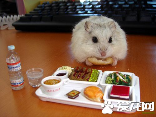 这些都是我的，谁都不许过来！