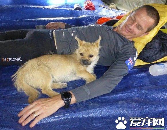 超马好手请半年无薪假 赴中国陪爱犬检疫