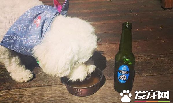 澳洲推出专为狗狗服务的快餐车