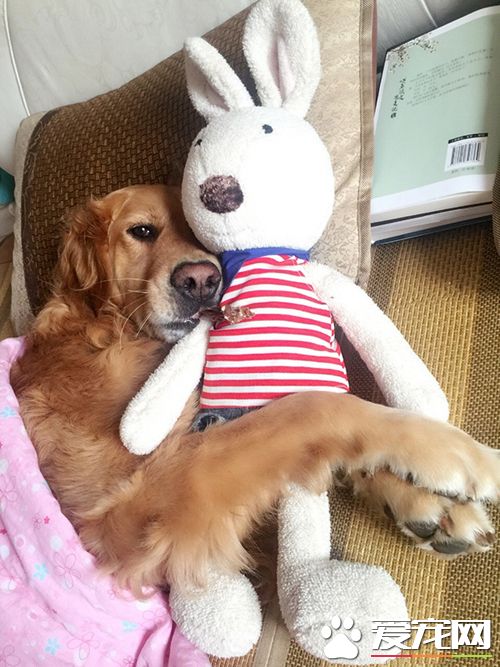 抱着爱妃一起睡觉觉真幸福