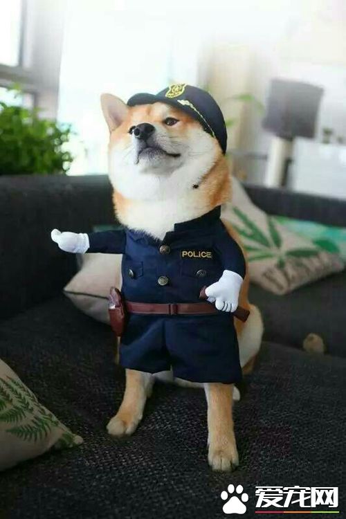 废话少说，跟我到局子里走一趟