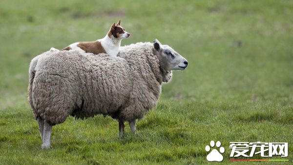 走，我们去那边！