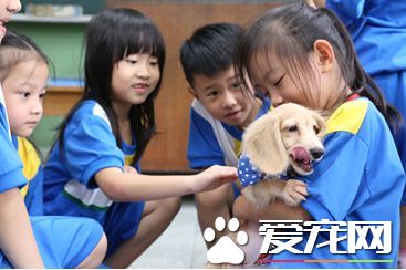 零安乐死新措施 台湾推伴读犬前进学校