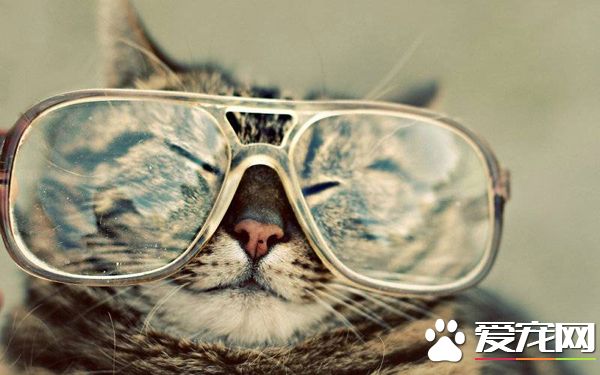 年纪大了！眼睛都花掉了！