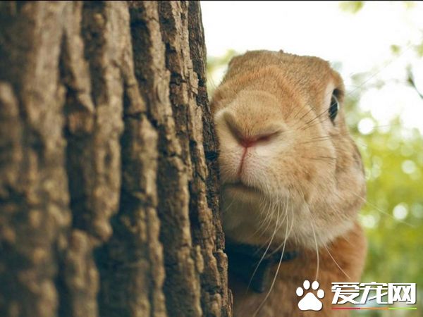 我就这样默默地看着你装逼！