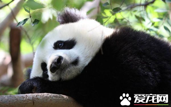 有一种淡淡的忧伤！