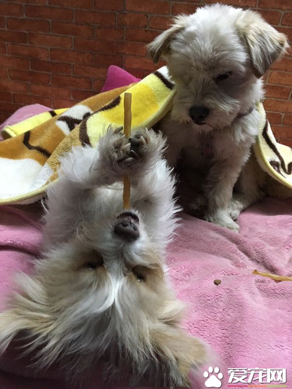 看好了，地球人都是这样抽烟的