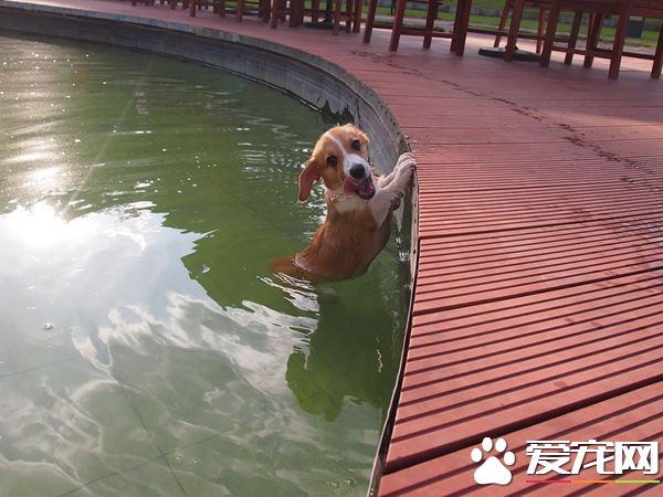 卧槽，下水容易上岸难